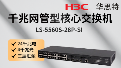 H3C企业交换机 LS-5560S-28P-SI