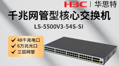 H3C交换机 LS-5500V3-54S-SI