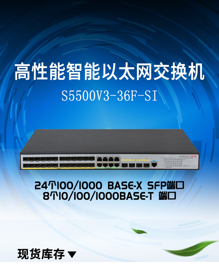 S5500V3-36F-SI_01