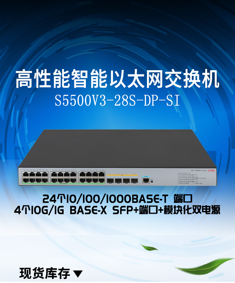 S5500V3-28S-DP-SI_01