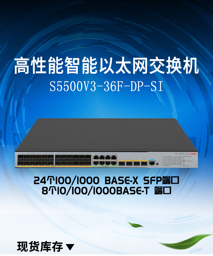 S5500V3-36F-DP-SI_01