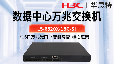 华三 LS-6520X-18C-SI 以太网交换机