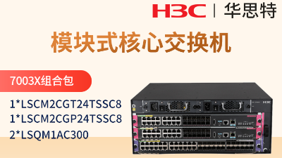 H3C S7003X套包 框架式交换机