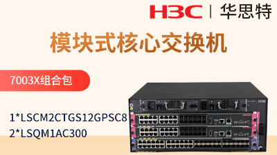 H3C S7003X交换机套包