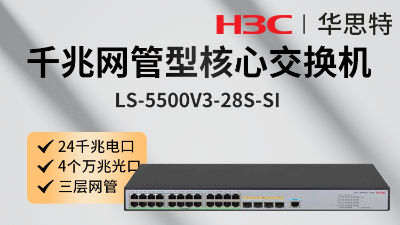 H3C交换机 LS-5500V3-28S-SI